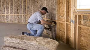 Best Eco-Friendly or Green Insulation Solutions in Richmond, MN